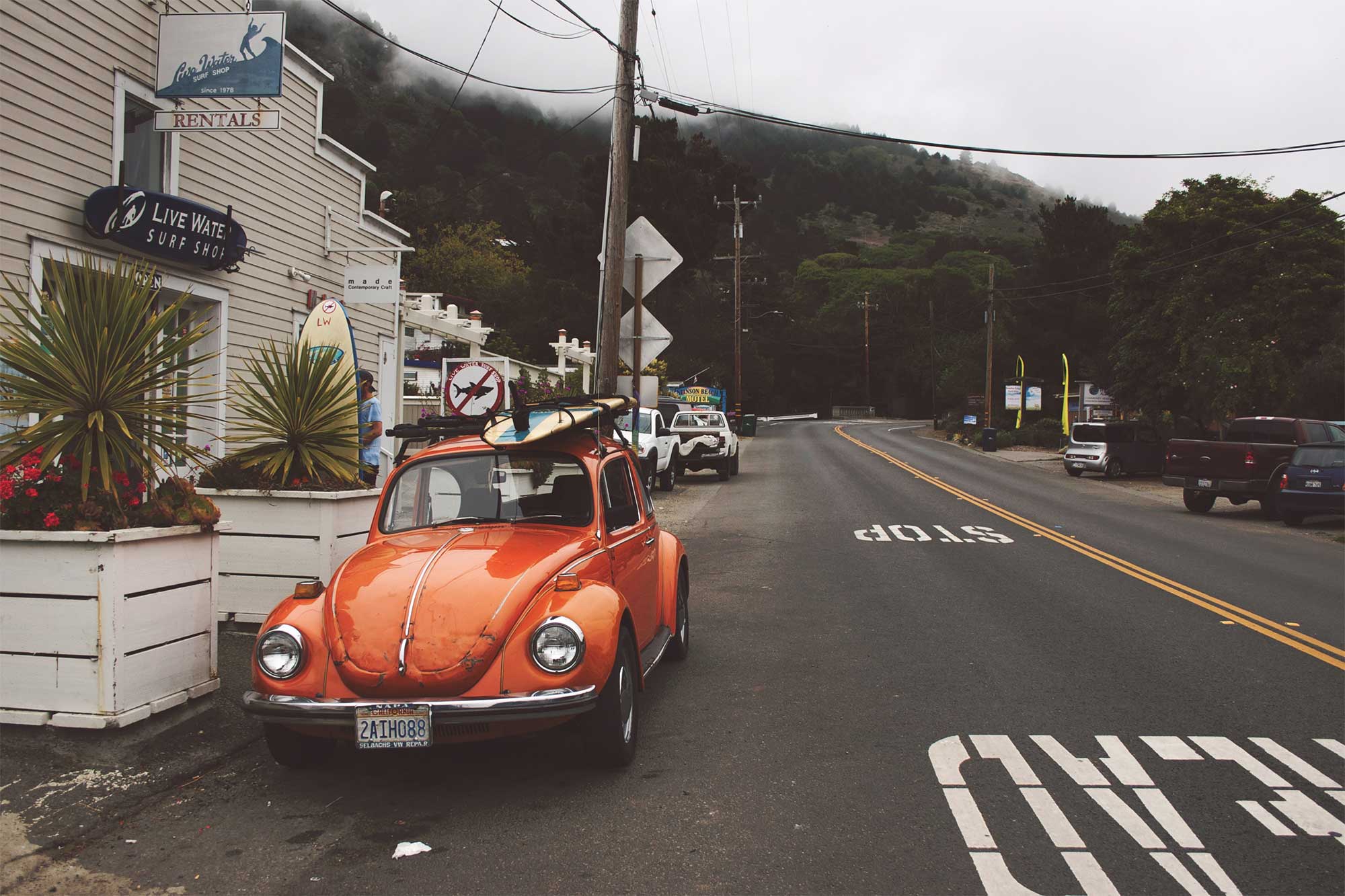 bug_surf
